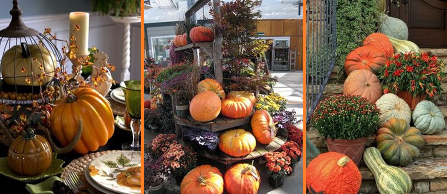 Decorare con la zucca: idee facili e low cost