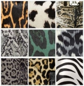 Animalier 2013