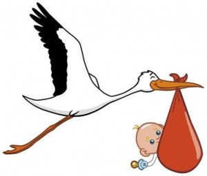 consigli-per-catturare-la-cicogna-mamme-a-spillo consigli per catturare la cicogna mamme a spillo