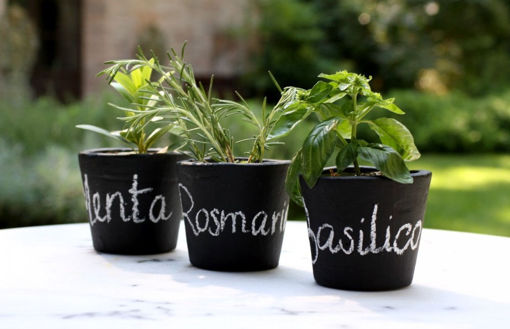 vasi-piantine-effetto-lavagna