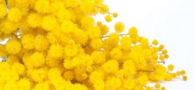 festa-donna-mamme-a-spillo